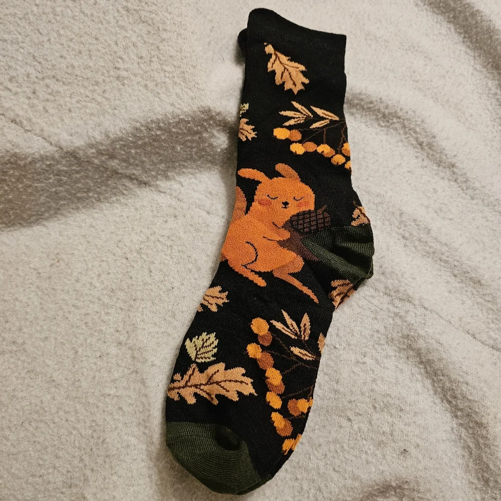 New Set Of Three Fall Squirrel Themed Socks